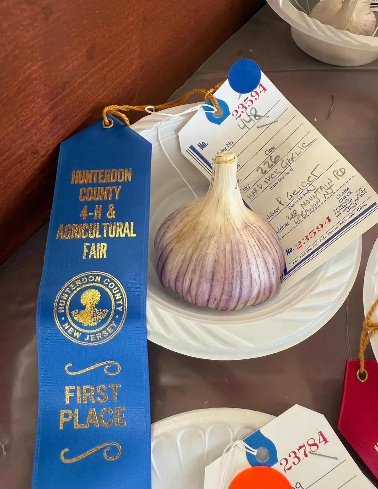 First-place Hunterdon County 4-H ribbon beside a gourmet garlic bulb